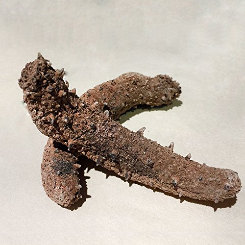 Alaska Red Dried Sea Cucumber-natural Sun Dried(Medium)1lb, Grade AAA