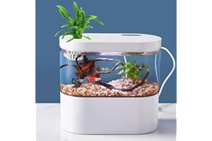JIUBILAI CO Mini Fish Tank Betta Aquarium Starter Kits Multifunctional Desktop Aquarium with Switch Button LED and Automatic Circulation System No Watter Change