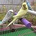 5 Pack Bird Perch Stand Toy, Wood Parrot Perch Stand Platform Paw Grinding Stick, Cockatiel Cage Accessories for Budgies Parakeet Cockatiel Conurethumb 1