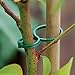 KINGLAKE 100 Pcs Plant Support Garden Clips Tomato Vine Flower Clips Plant Locks Plant Twist Clip Ties