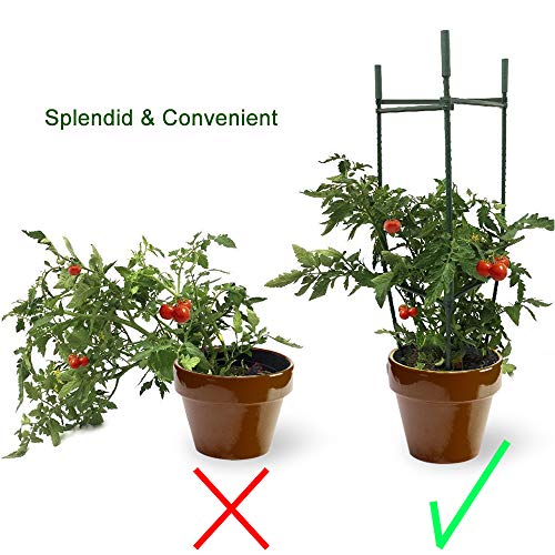 IPSXP Vegetable Trellis, Garden Plant Support Cages Stakes for Climbing Plants, Vegetables, Flowers, Fruits, Vine, 6 Garden Trellis with 80 Adjustable Cable Tie