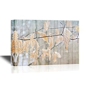 Raindrops on Tree Branches