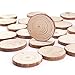 Caydo 20 Pcs 2.4-2.8 Inch Unfinished Wood Slices with Holes and 33 Feet Twine String for Home Hanging Decorations and Wedding Ornaments