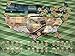 Yeegfey Junkies Sports Maps Scratch-Off Baseball Map - Bucket List Tracking Poster, Man-Cave Decor, Bedroom Poster - 32 Stadiums, 32 Teams in The USA - Great Valentine and Birthday Gift Idea - 18”x24”…