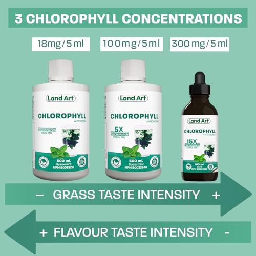 Liquid Chlorophyll Mint - Cold Extracted from Non-GMO Alfalfa - Clorofila - Detox Cleanse - Alkalization & Antioxidant Support - Vegan - Gluten Free - Made in Canada - 500 ml Bottle