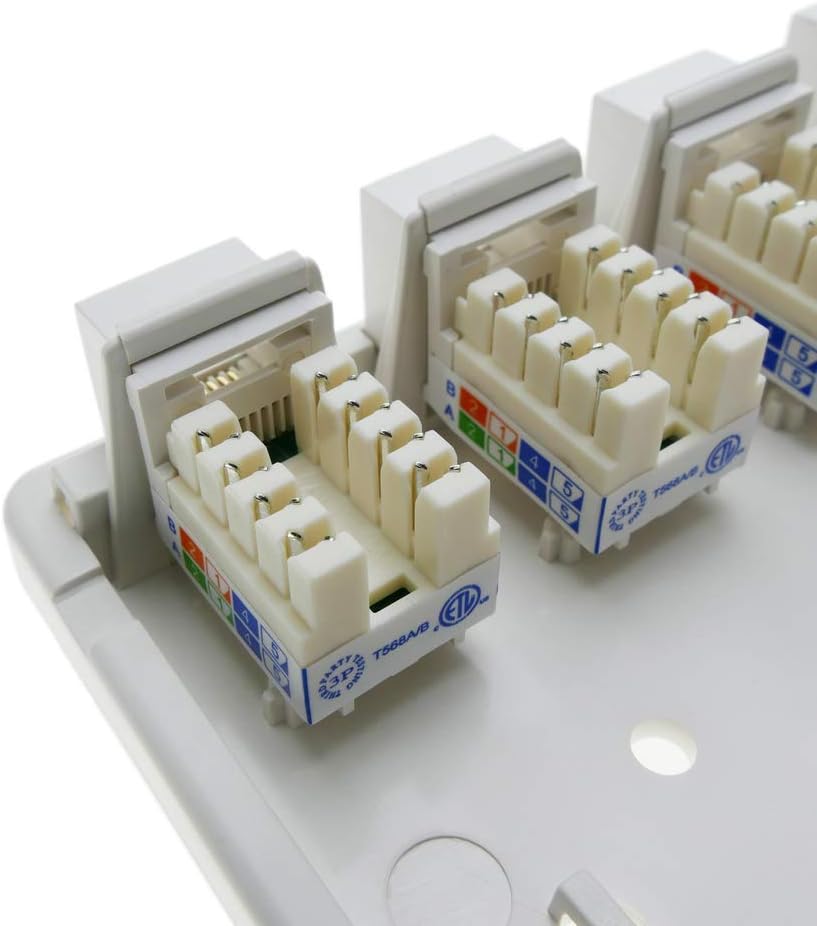 BeMatik - Caja de superficie de 4 RJ45 Cat.5e UTP: Amazon.es: Informática