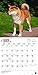 Shiba Inu 2016 Calendar