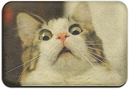 Weird Cat Doormat Entrance Mat Floor Mat Rug Indoor/Outdoor/Front Door/Bathroom Mats Rubber Non Slip