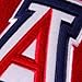 Fabrique Innovations NCAA Pillow Pet, Arizona Wildcats