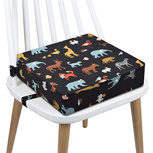 Booster Seat