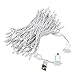 Novelty Lights 50ft Christmas String Lights, 100 Pure White LED Bulbs on White Wire, 6