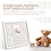 Baby Handprint Kit, iSiLER Baby Shower Keepsake Kit For Parents, Baby Handprint and Footprint Frame Kit For Room Wall or Table Decor, Premium Clay & Wood Frame Non Toxic and Safe