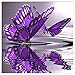 AIRDEA Butterfly Diamond Painting Kits for Adults Beginners Partial Drill DIY 5D Diamond Art Kits Animals Round Diamond Painting for Kids Rhinestone Arts Craft Canvas Home Wall Art Decor 30x30 cm