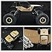 Tuptoel RC Cars Jeep Trucks Off-road Vehicle Monster Trucks 4WD Drive Car 1/14 Scale 2.4GHz RC Hobby Cars High Speed Racing Cars- Golden