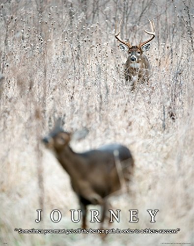 Whitetail Deer Motivational Poster Art Print 11x14 Bow Hunting Buck Commander Wall Decor Pictures