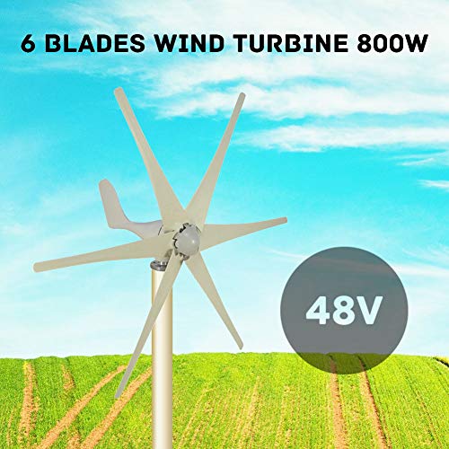 Taishi 800W 48V 6 Blades Residential Horizontal Wind Turbine Generator