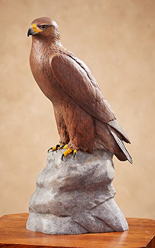 Amazoncom Wild Wings Golden Eagle Sculpture By Randal