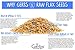 Raw Golden Flax Seeds, 1 LBS - Top 14 Food Allergy Free & NON GMO by Gerbs - Vegan & Kosher