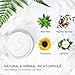 Aprilis Facial Cleansing Mask, Mineral White Clay Mask, Deep Pore Cleanser for Face and Body, Reduction in Dark Spots, Blackheads & Acne, Shrinking Pores & Lightening Skin, 8.8 oz