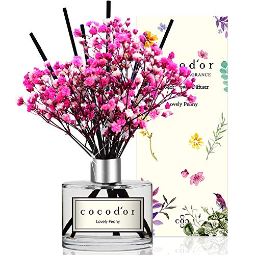 Cocod'or Preserved Real Flower Reed Diffuser, Lovely Peony Reed Diffuser, Reed Diffuser Set, Oil Diffuser & Reed Diffuser Sticks, Home Decor & Office Decor, Fragrance and Gifts, 6.7oz