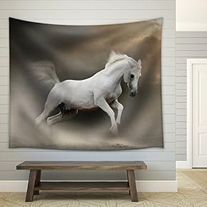 White Arabian Stallion in Dust - Fabric Wall Tapestry Home Decor - 51x60 inches