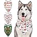 Travel Bus Stuffless Dog Toys- Tough Squirrel Dog Squeaky Toys No Stuffing Crinkle Dog Toy with Rope Knots for Small Dogs Puppy Chew Toys (Christmas Bandana)