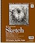 Strathmore Series 400 Sketch Pads 9 in. x 12 in. - pad of 100