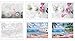 Paint by Numbers for Adults & Kids Easy for Beginner Flowers DIY Acrylic Paint Oil Painting on Canvas Drawing Paintwork Paintbrushes Art Crafts md