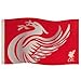 Liverpool Team React Flag