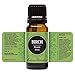 Birch Essential Oil (100% Pure, Undiluted Therapeutic/ Best Grade) High Quality Premium Aromatherapy Oils by Edens Garden- 10 ml