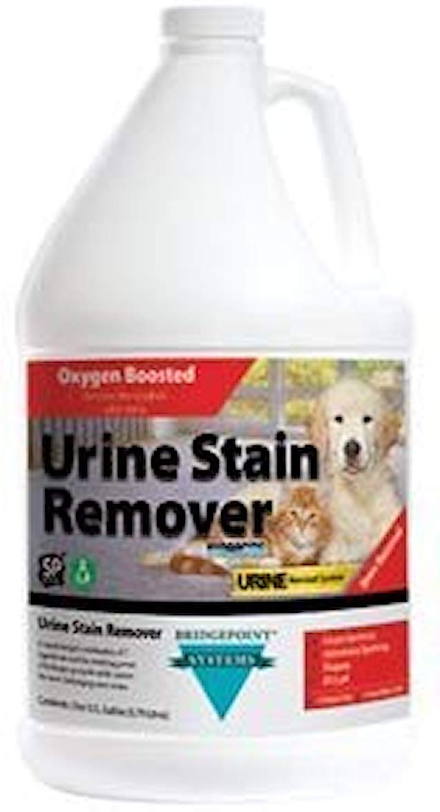 Best Removing Carpet Stains With Hydrogen Peroxide