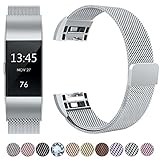 GEAK Fitbit Charge 2 Bands Metal,Milanese Loop Stainless Steel Replacement Accessories Magnetic Metal Large Bands for Fitbit Charge2,Silver