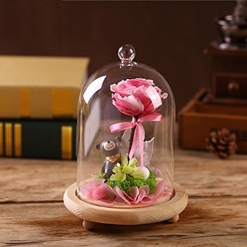Reelva Decorative Clear Glass Cloche Bell Jar Display Case (Small) - Thumbnail 2