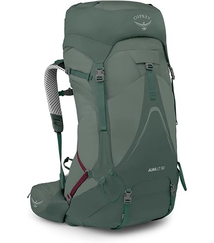 Osprey Aura AG 65L Women's Backpacking Backpack, Berry Sorbet Red, WXS/S : Sports & Outdoors