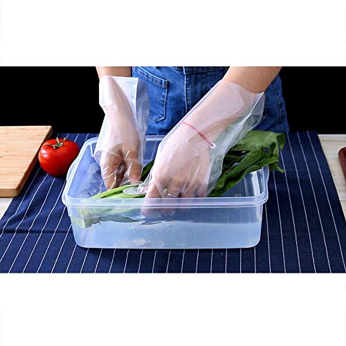 WarmCrystal, Power Free, Disposable, Limitation Silk, Soft, Comfortable, Protect Hand Gloves, Can be Used for Kitchen Cooking, Housework, Cosmetology, Hairdressing, Food Handling, Fruit (L 50 Pack) - Thumbnail 3