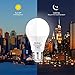 Dusk to Dawn Light Bulb,Build in Light Sensor Detector,9W(60W Equivalent),A19 Photocell Sensor Bulb,No Timer Required,3000K Warm White,for Indoor or Outdoor Use,Boundary,Garage,Patio,2-Pack by Boxlood