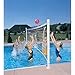 Dunn-Rite Products ProVolly Retrofit Pool Volleyball Kit