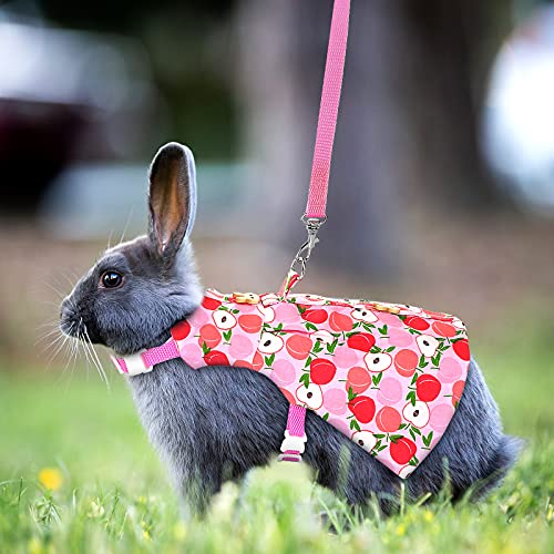 cute bunny harness