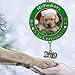 BANBERRY DESIGNS 2024 Puppy's First Xmas Photo Ornament Keepsake - Picture Ornament with Charm & Engraved My Fur Baby's 1st Christmas