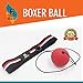 Fighting Panda Boxing Reflex Ball, 2 Difficulty Level Boxing Balls with Headband, Softer Than Tennis Ball, Perfect for Reaction, Agility, Punching Speed, Fight Skill and Hand Eye Coordination Training