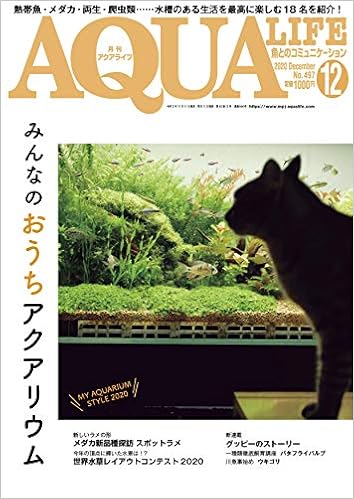 月刊アクアライフ 年12 月号 みんなのおうちアクアリウム 本 通販 Amazon