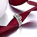 EnjoIt Fashion 925 Sterling Silver Crown Princess Diamond Ring Women's Love Rings