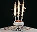 1 Pack of 4 pcs of Birthday Wedding Bottle/Cake Party Candles Smokeless Indoor Outdoor Use