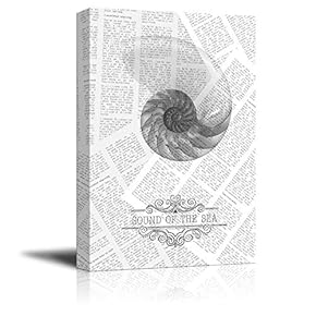 Canvas Wll Art - Semi-Transparent Sea Shell on Vintage Newspaper Background - Giclee Print and Stretched Ready to Hang - 12"x18"