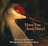 Front cover for the book Have You Seen Mary? by Jeff Kurrus