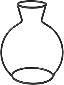 Vase Frame, Creative Shapes Black Metal Plants Tabletop Display Holder Iron Art Frame Stand for Table Office Home Decor(D)