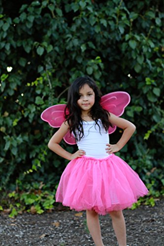 Party Favor Butterfly Wing (Set of 6) Color: Hot Pink