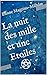 La nuit des mille et une Etoiles: Témoignage d'un passeur d'âmes. Communication avec l'au delà (F by Eliane Magrina-Milhâm