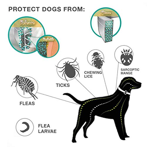 image for Maxtry 2 Pack Flea and Tick Control Adjustable Waterproof Collar Prote