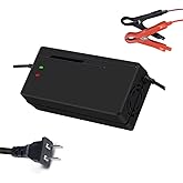 DUDHOIK 48V/58.4V 10A Lifepo4 Charger 110V 120V with Cooling Fan Lithium Battery Charger Multiple Protection Functions for 48V Lifepo4 Battery
